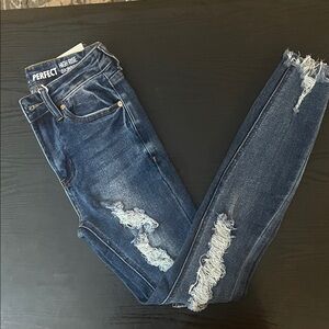 S.O.N.G. High Rise Distressed Skinny Jeans - Blue